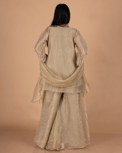 Crush Tissue Short Kurti & Palazzo Set with Sequin & Cut Dana Work