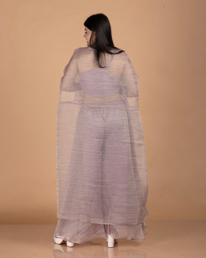 Gota, Thread & Zardozi Hand-Embroidered Crush Tissue Indo-Western Cape Set