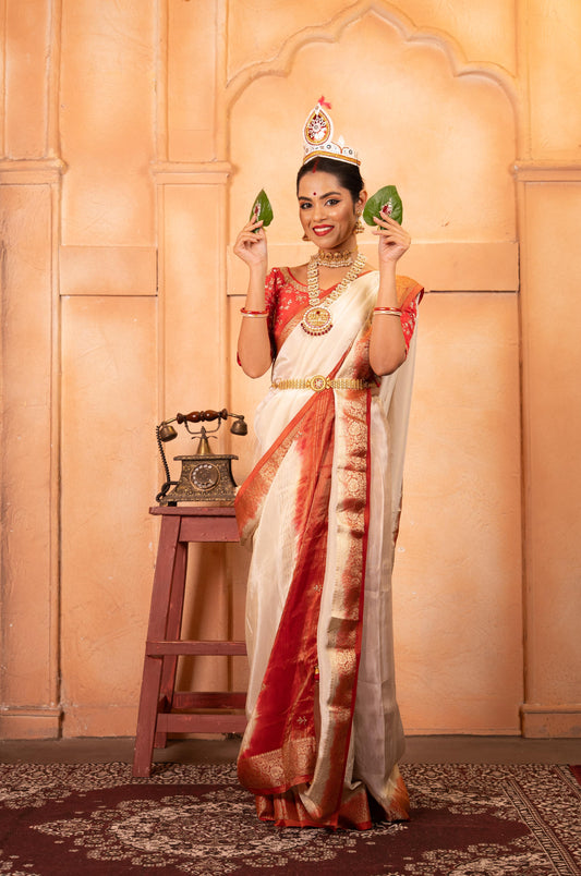 Hand-Embroidered Tissue Saree with Woven Contrast Zari Border